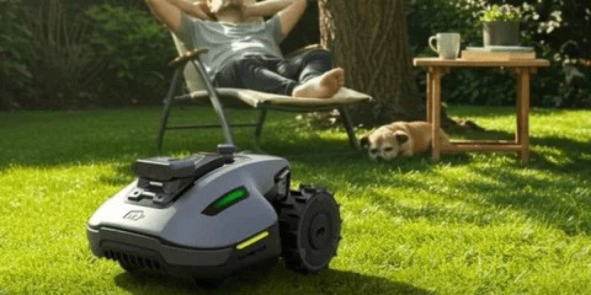 Global Robotic Lawn Mower Market Growth Analysis