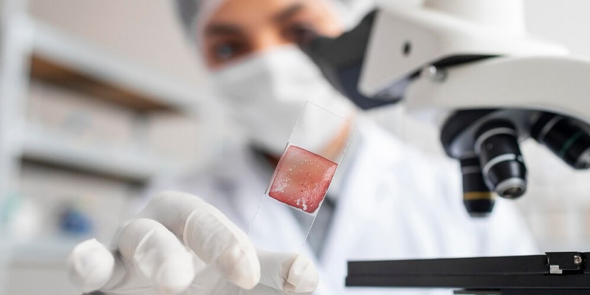Cancer Diagnostics Market Research Report, Types, Technology, Application and Region Forecast to 2029