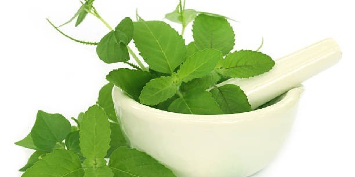 Building a Supportive Wellness Routine Naturally