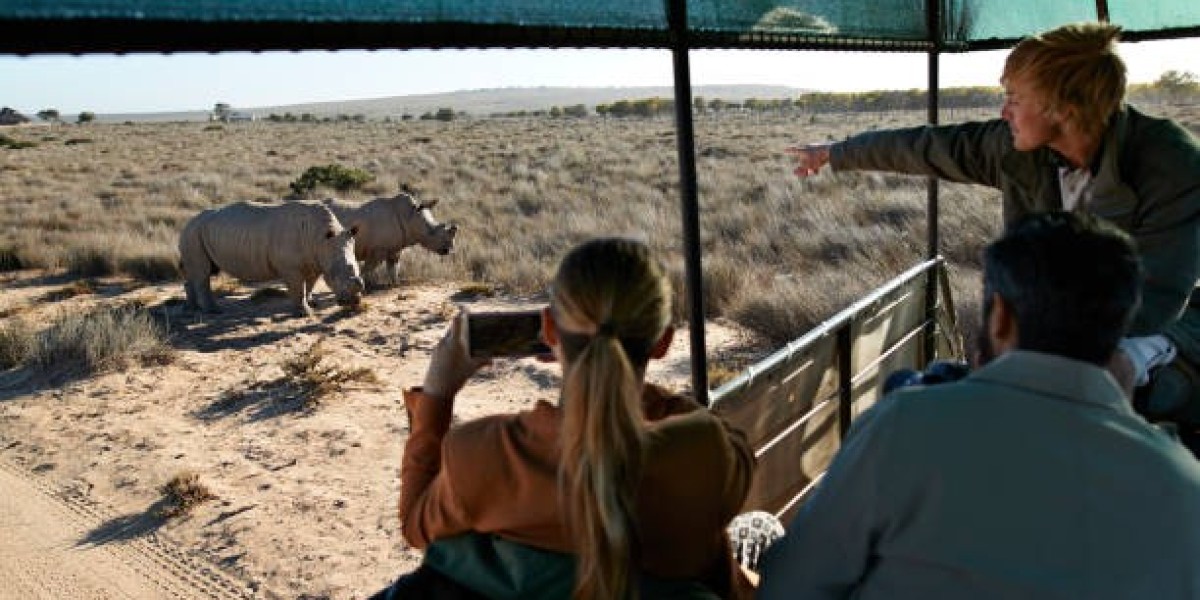 The Ultimate Guide to South Africa’s National Parks