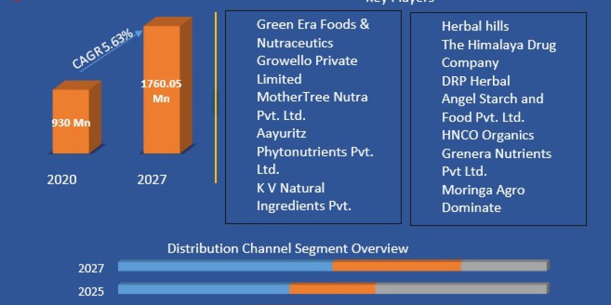 Europe Moringa Supplement Market Analysis: Regional Performance and Country-Level Insights