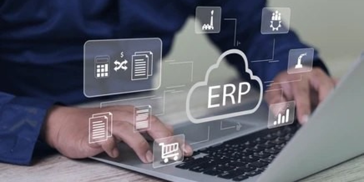 Best ERP Software Development Company in Ahmedabad Offering Custom Solutions | Inshasis