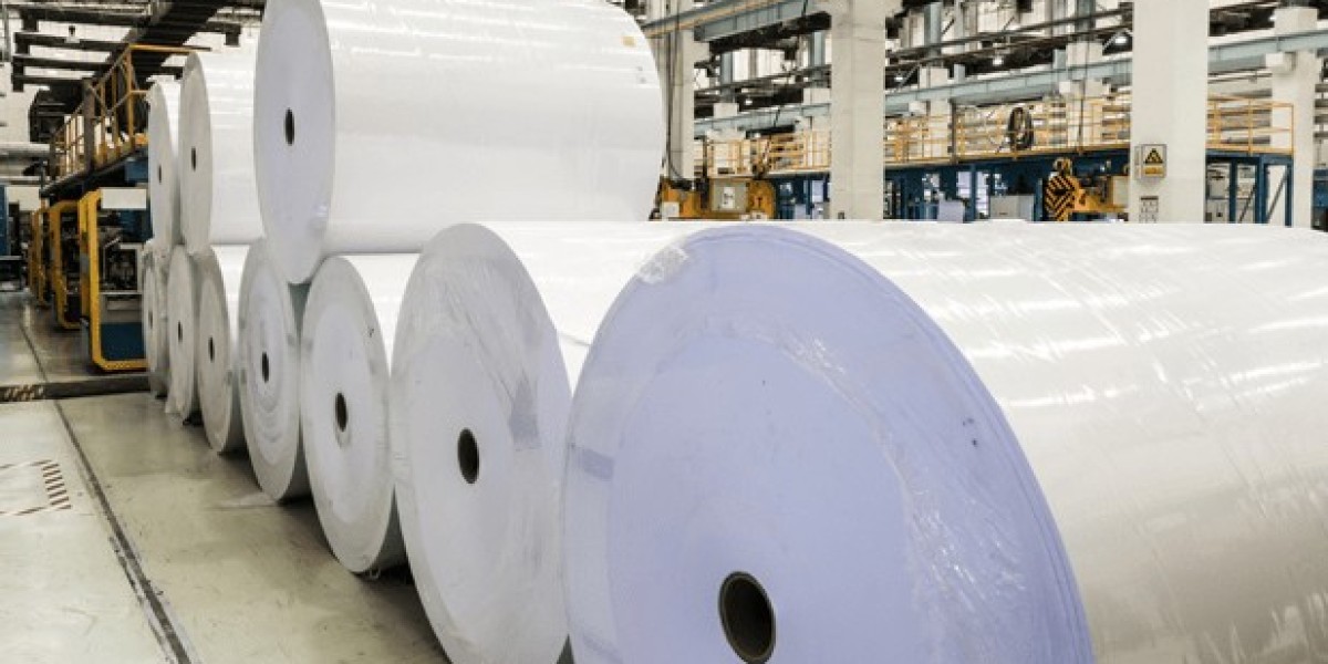 Reprographic Paper Market Growth Across Commercial Printing