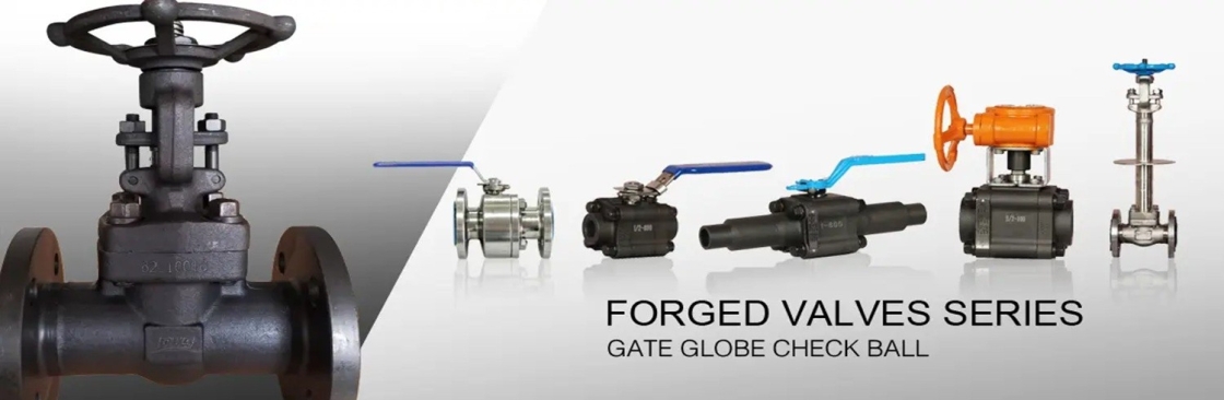 China Forged Valves