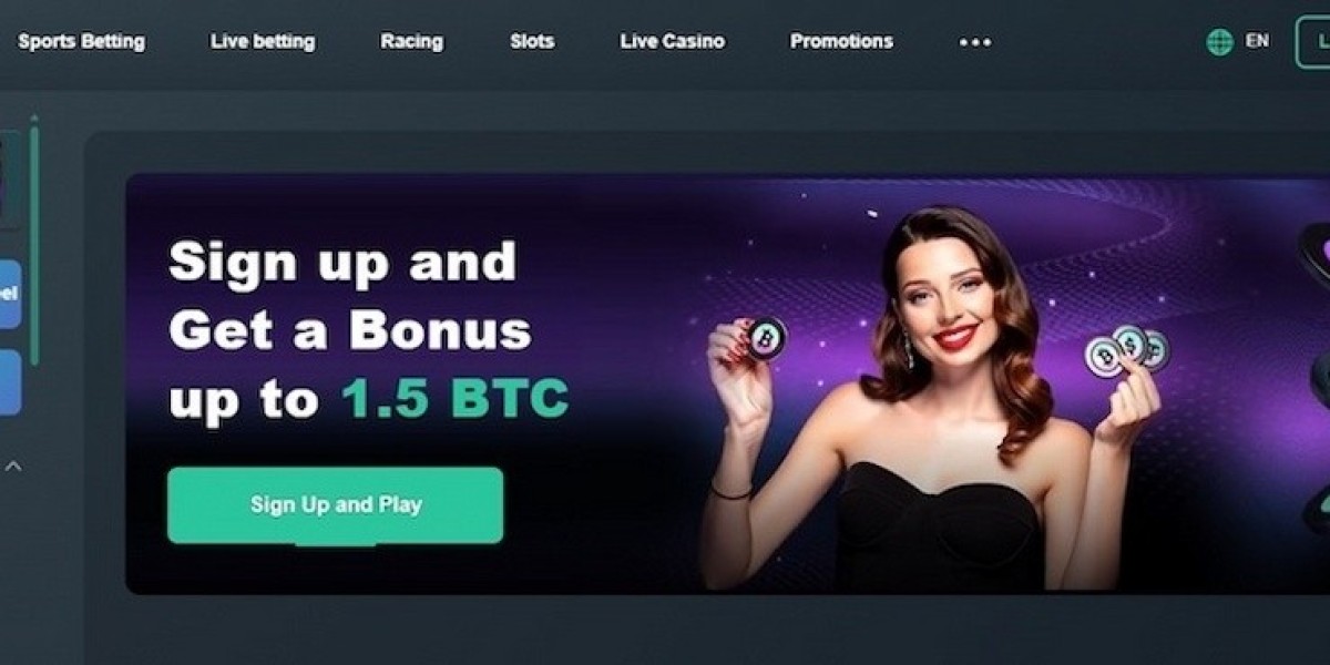 No Verification Casinos: A Complete Guide to Fast, Private, and Hassle-Free Gaming