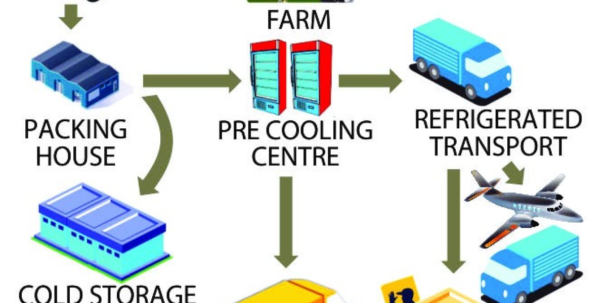 Cold Chain Logistics Market Analysis: What Businesses Need to Know