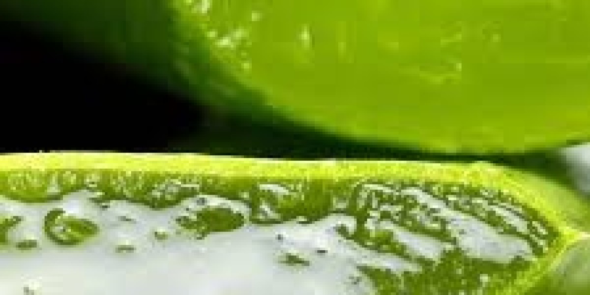 Aloe Vera Extracts Market Innovations Paving Way For New Formulations In Skincare Industry