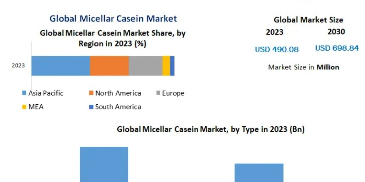 Micellar Casein Market Analysis: Market Estimation and Revenue Forecast Overview