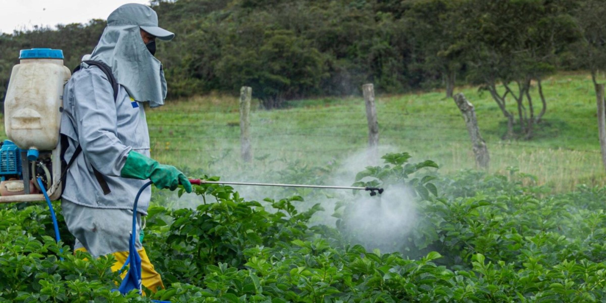 Insecticides Market Outlook 2034: Population Growth and Climate Pressures Drive Demand