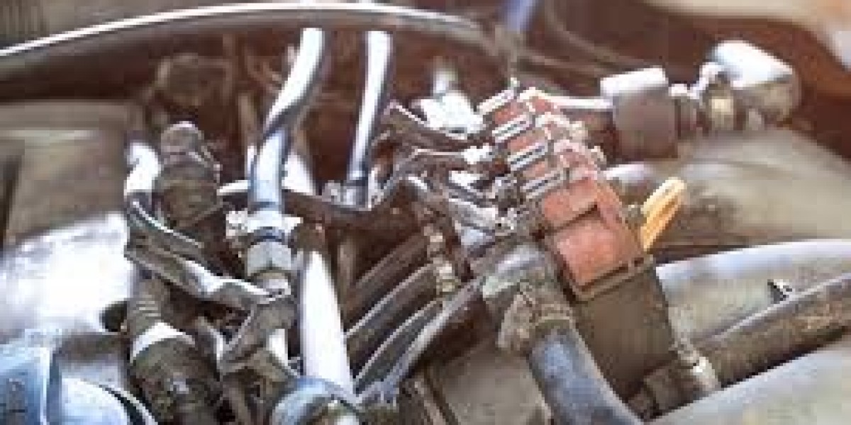 Automotive Fuel Injection System Market Forecasts Considering Technological Advancements and Consumer Preferences Worldw