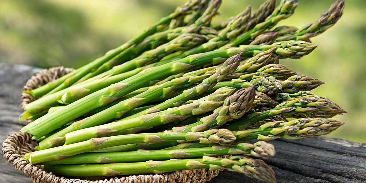 Why the Asparagus Market Is Growing Steadily Worldwide