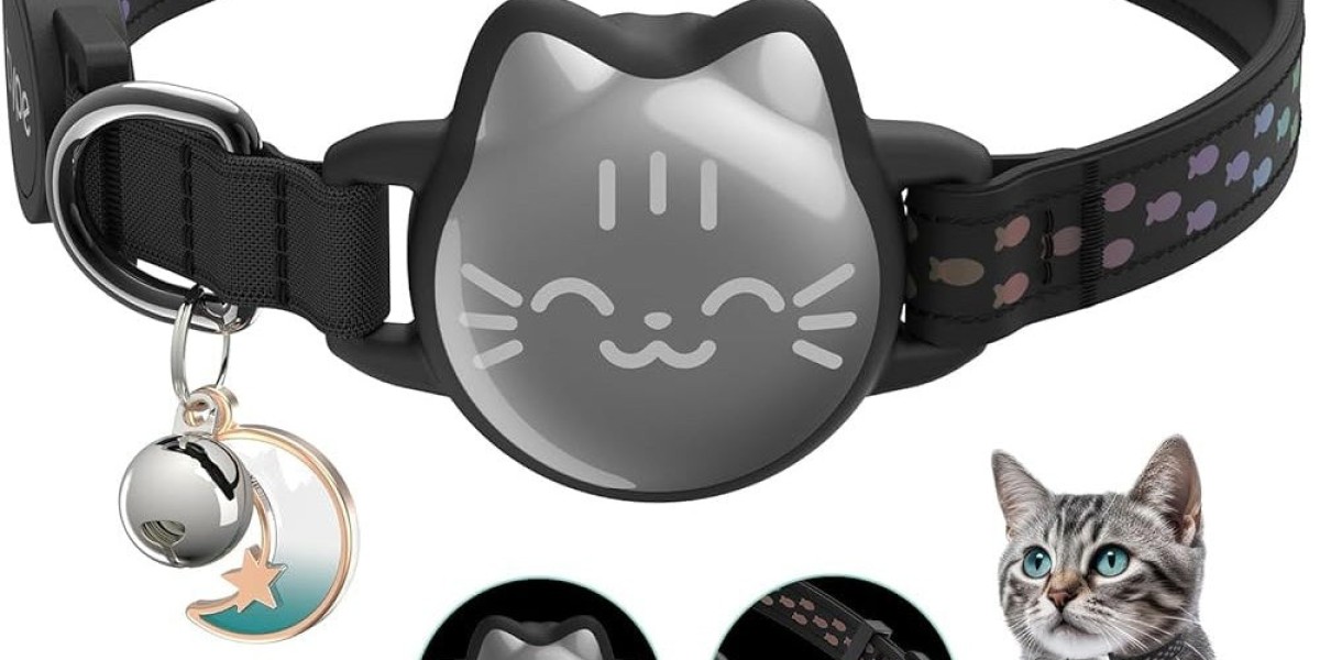 How to Select the Safest and Most Comfortable Kitten Collar for Your Pet