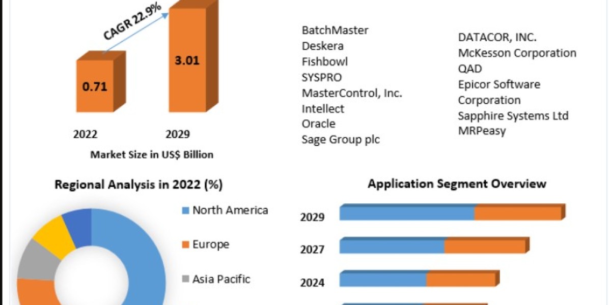 Pharmaceutical Manufacturing Software Market: Key Drivers, Challenges, and Future Opportunities 2029