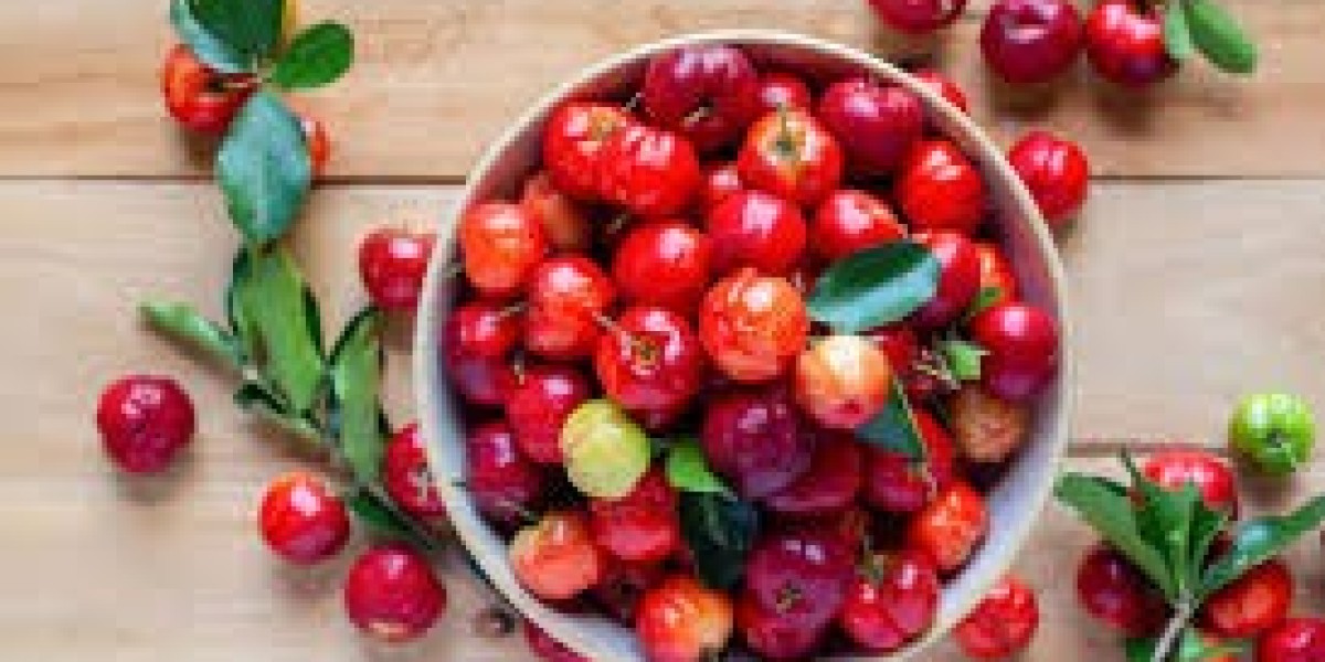 Acerola Extract Market technological innovations enhancing extraction efficiency to meet increasing global quality stand