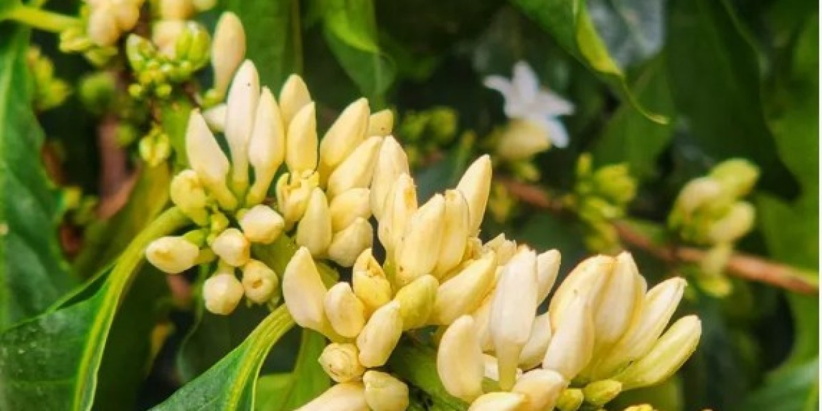 Agricultural Solutions for a Changing Climate
