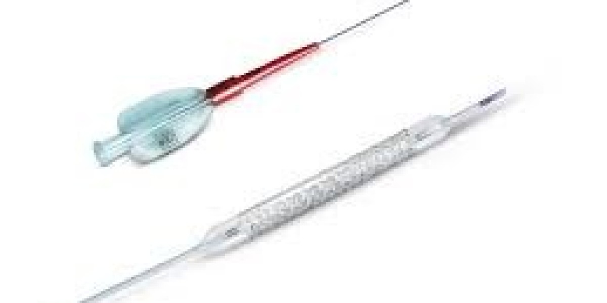 Cobalt Chromium Stent Market Future Growth and Opportunities 2034