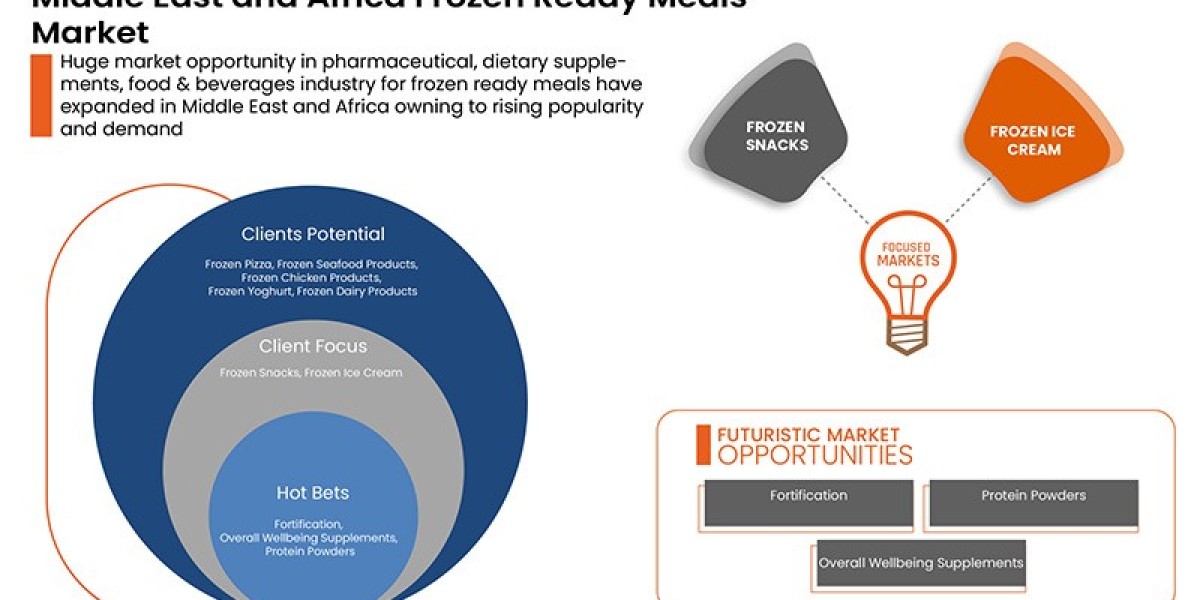 Middle East and Africa Frozen Ready Meals Market Size, Share, Trends, Growth Opportunities, Key Drivers and Competitive 