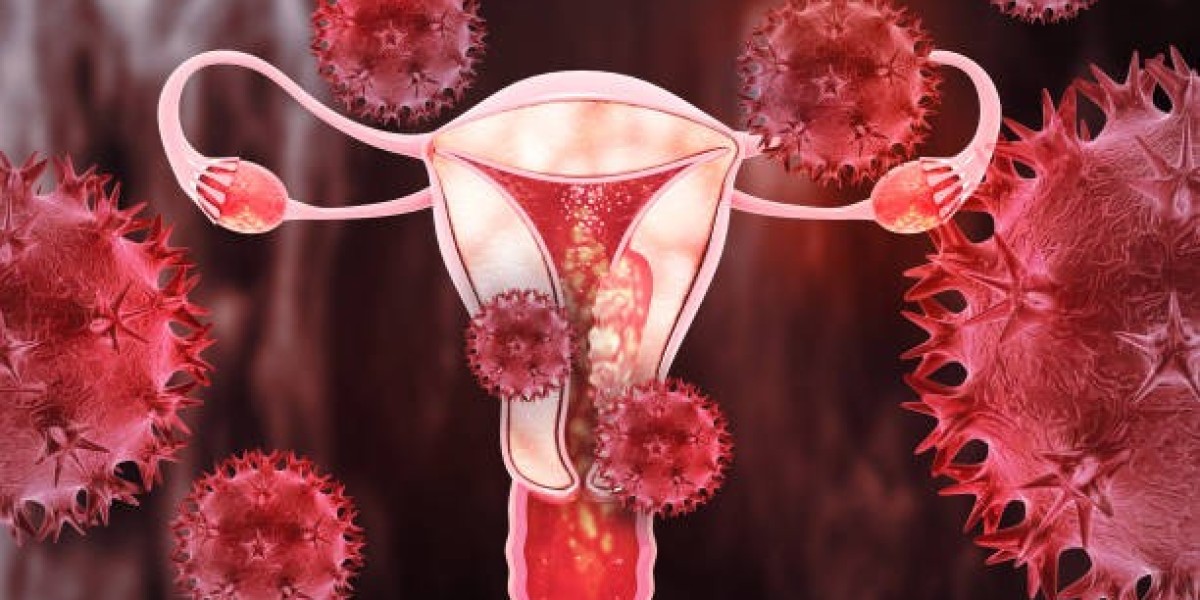 Menopause Treatment Market Overview: Market Size, Leading Companies & Modern Treatment Approaches