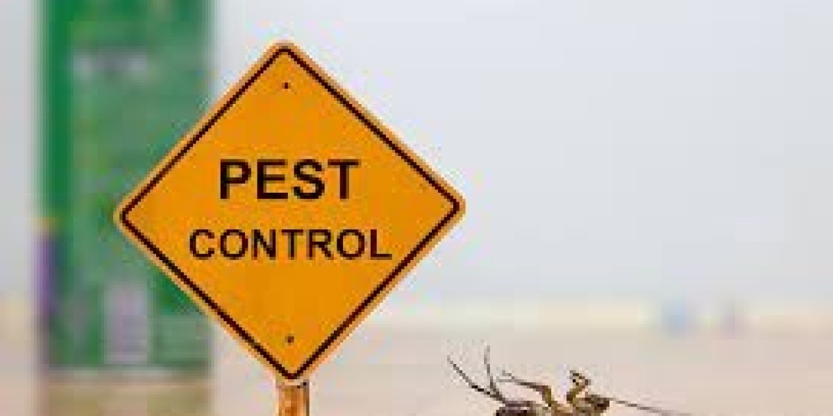 Commercial Pest Control: Essential Strategies to Keep Your Business Pest-Free