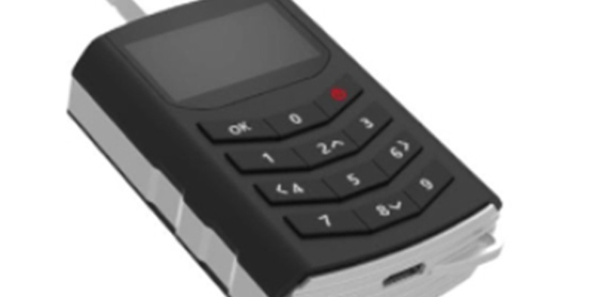 Smart Locks with Bluetooth & Wi-Fi Connectivity Options