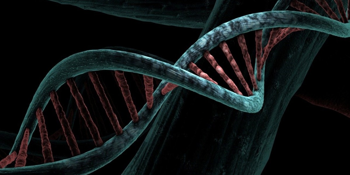 Trends and Forecast for the Global Biological Imaging Reagents Market Size, Share, Growth & Demand