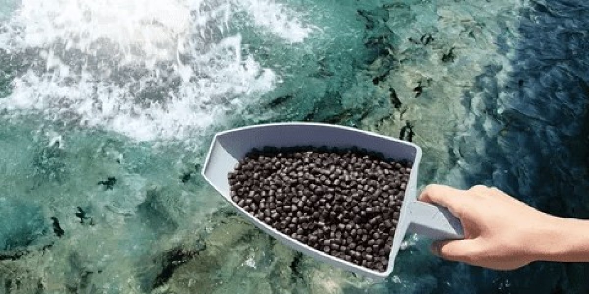 Microalgae Based Aquafeed Market Future Potential