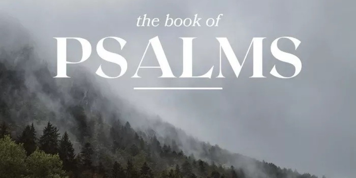 How Are the Psalms Relevant for Personal Reflection and Meditation?