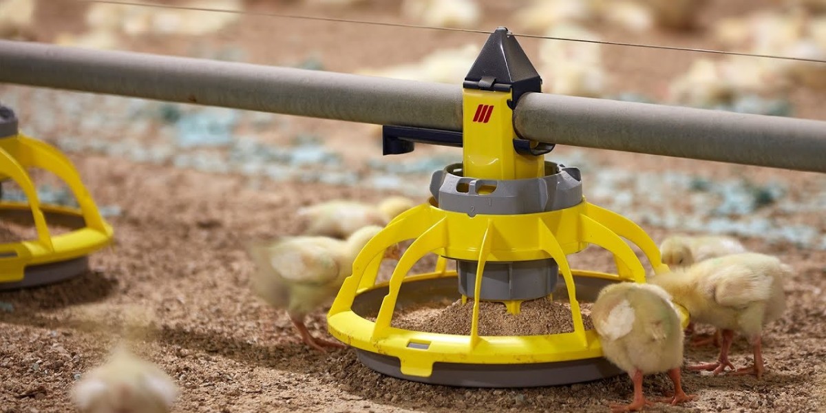Top 20 Companies in Global Automated Feeding Systems Market 2025: Market Study Report