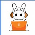 Support Fly