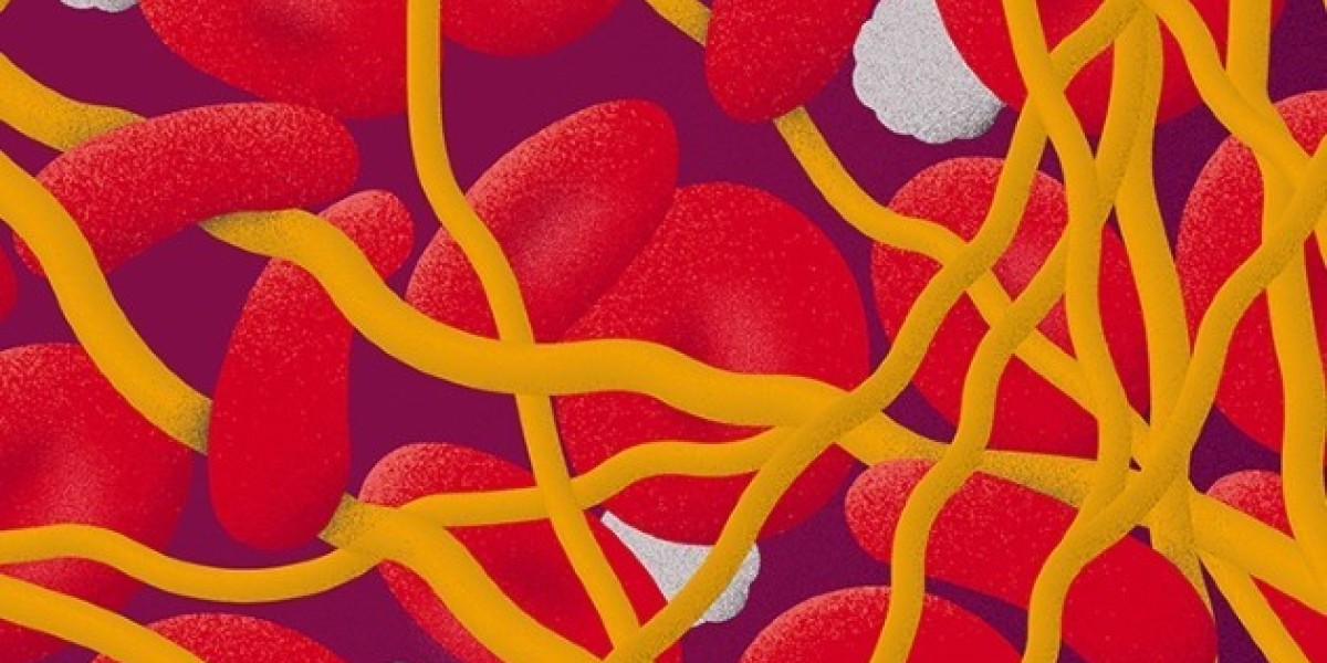 Strategic Insights and Competitive Landscape of the Anticoagulant Market