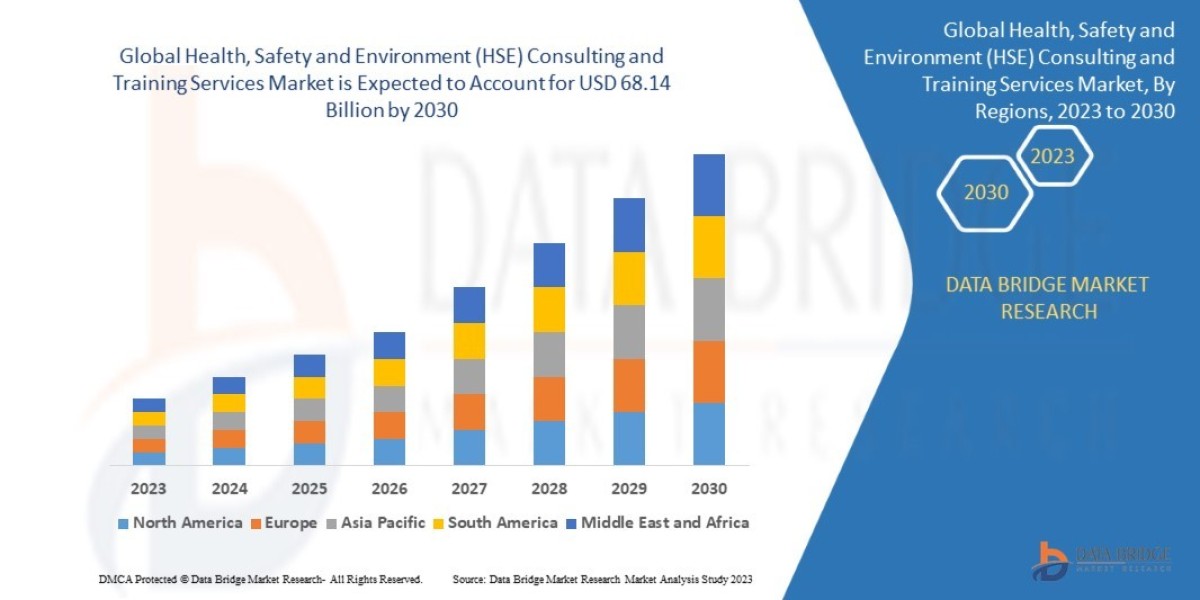 Health, Safety and Environment (HSE) Consulting and Training Services Market Size, Share, Trends, Growth Opportunities a
