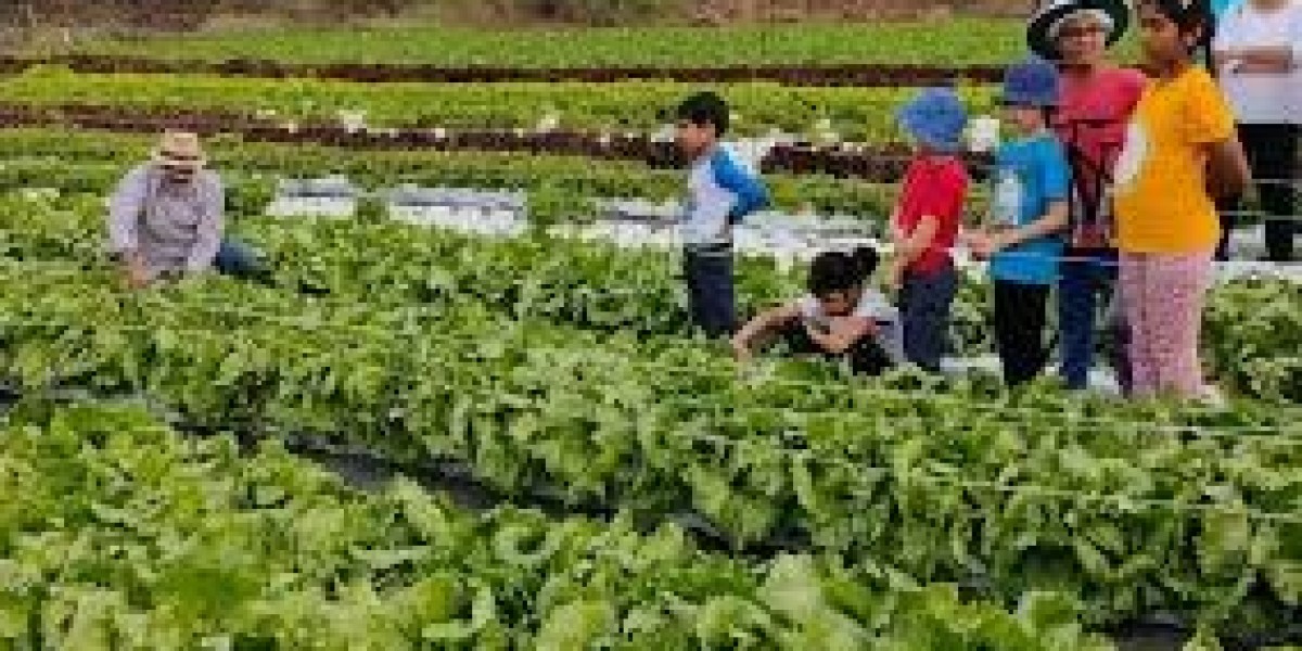 Discover the Best Local Farms Near You