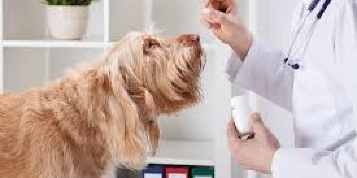 Veterinary Therapeutics Market Forecast and Emerging Opportunities 2034