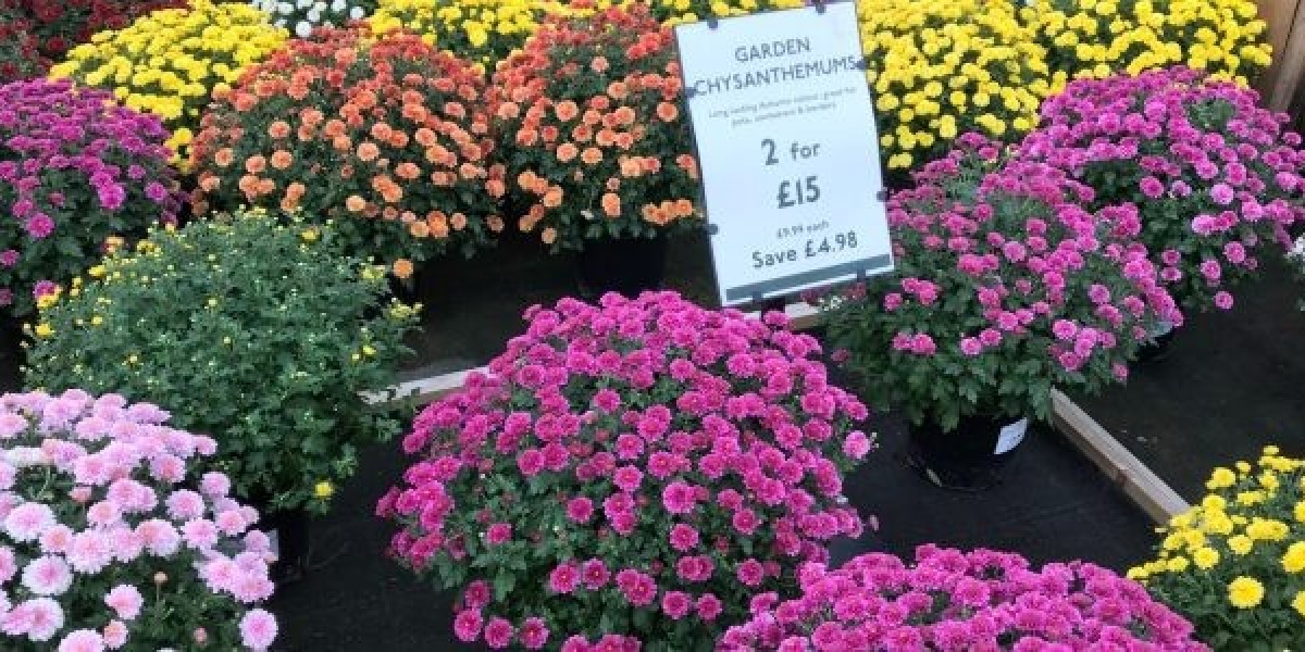 How Retail Display Solutions Can Prevent Common Garden Centre Labelling Mistakes?