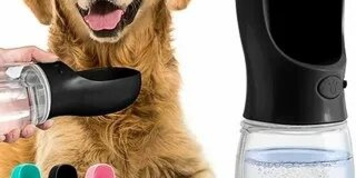 Why This Dog Water Bottle Hack Is Suddenly Everywhere Online