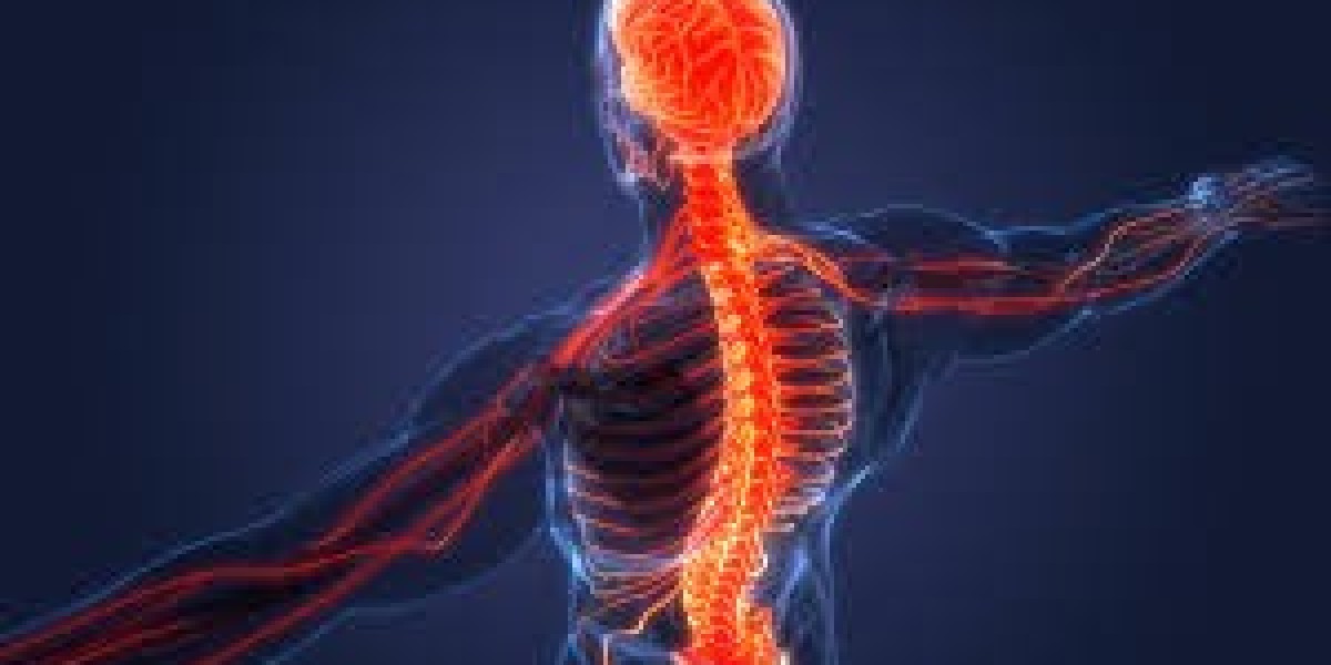 Back or Neck Pain? Key Symptoms of Disc Issues