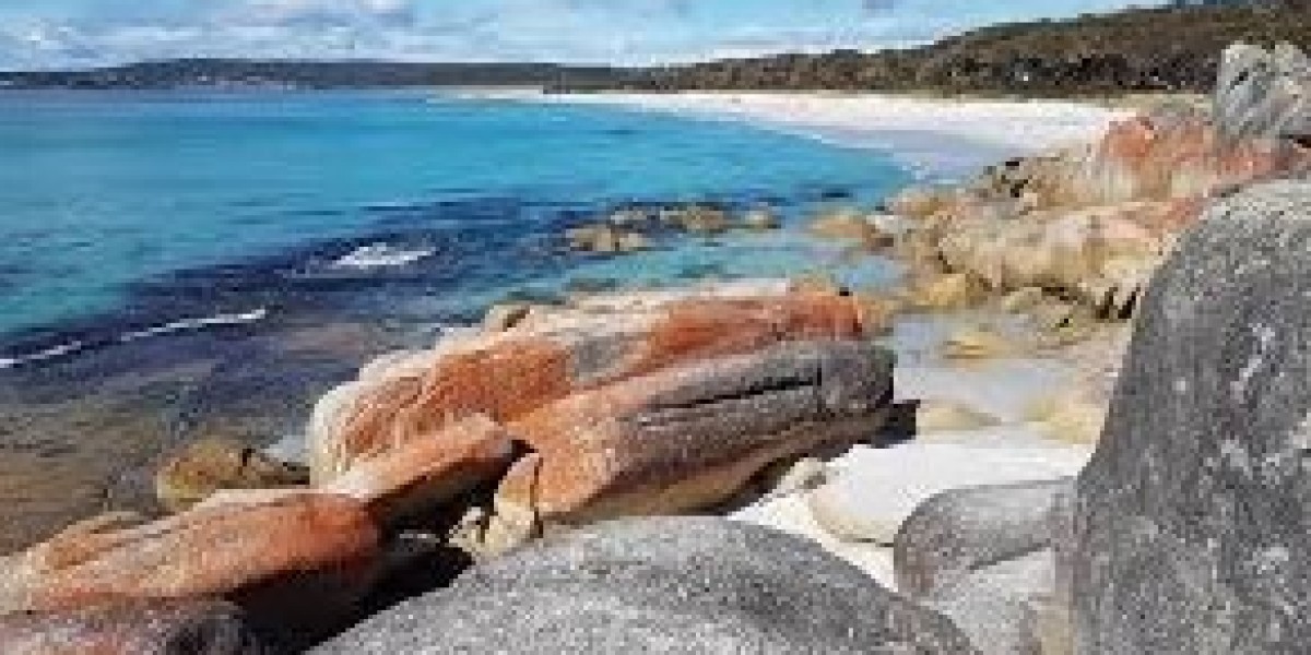 Tasmanian Wilderness Experiences Walking Tours That Redefine Adventure