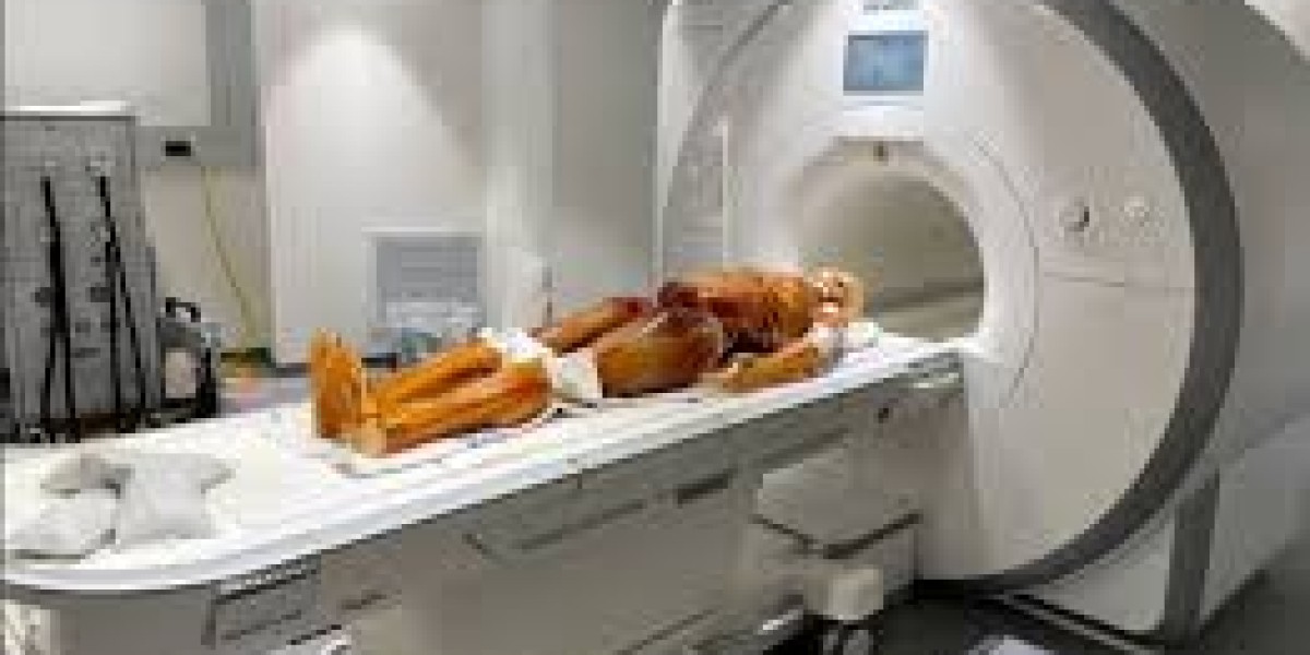 Medical Imaging Phantoms Market Insights and Development 2034