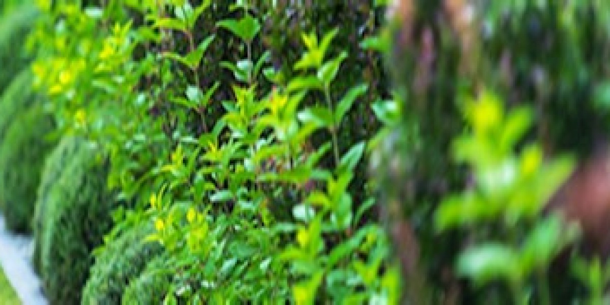 Sprinkler Winterization: Top 5 Reasons To Invest In It
