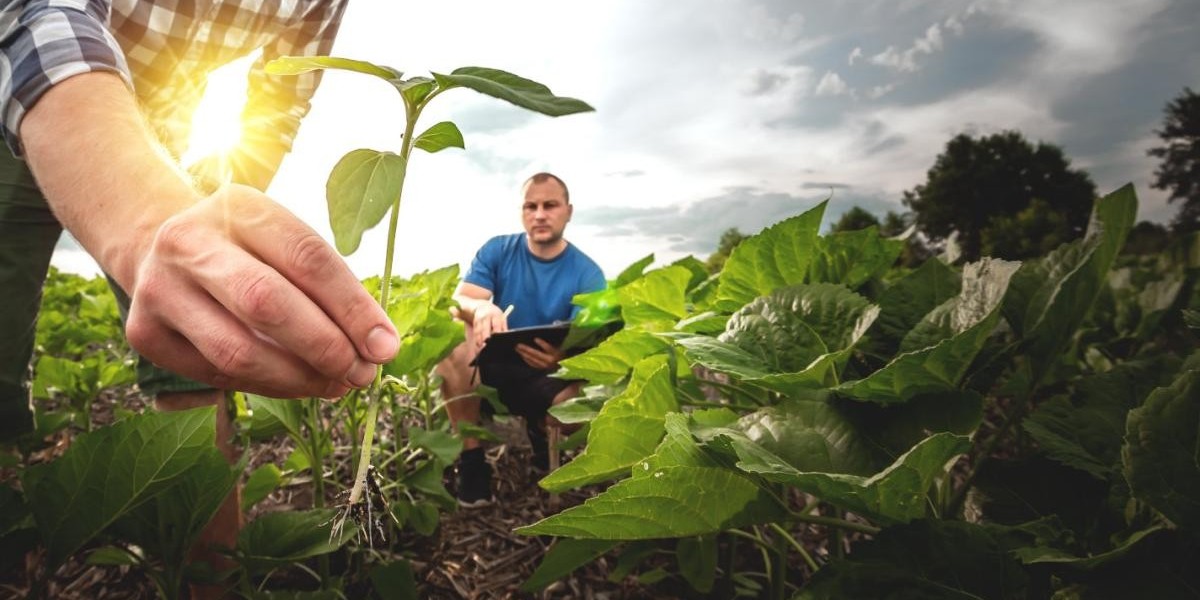 Smart Agriculture Solution Market Study Analyzing Investment Trends And Agritech Innovation Ecosystems Globally