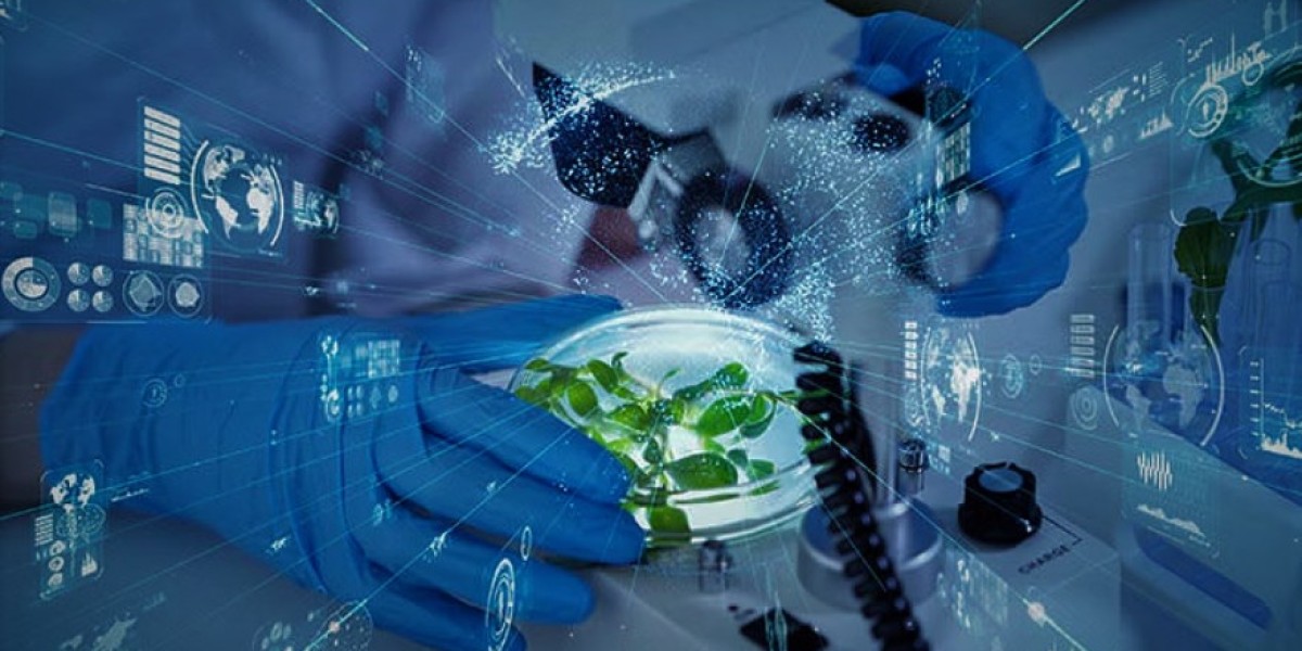 Bioinformatics Market Growth, Segments, Size, Market Analysis and Opportunities 2029