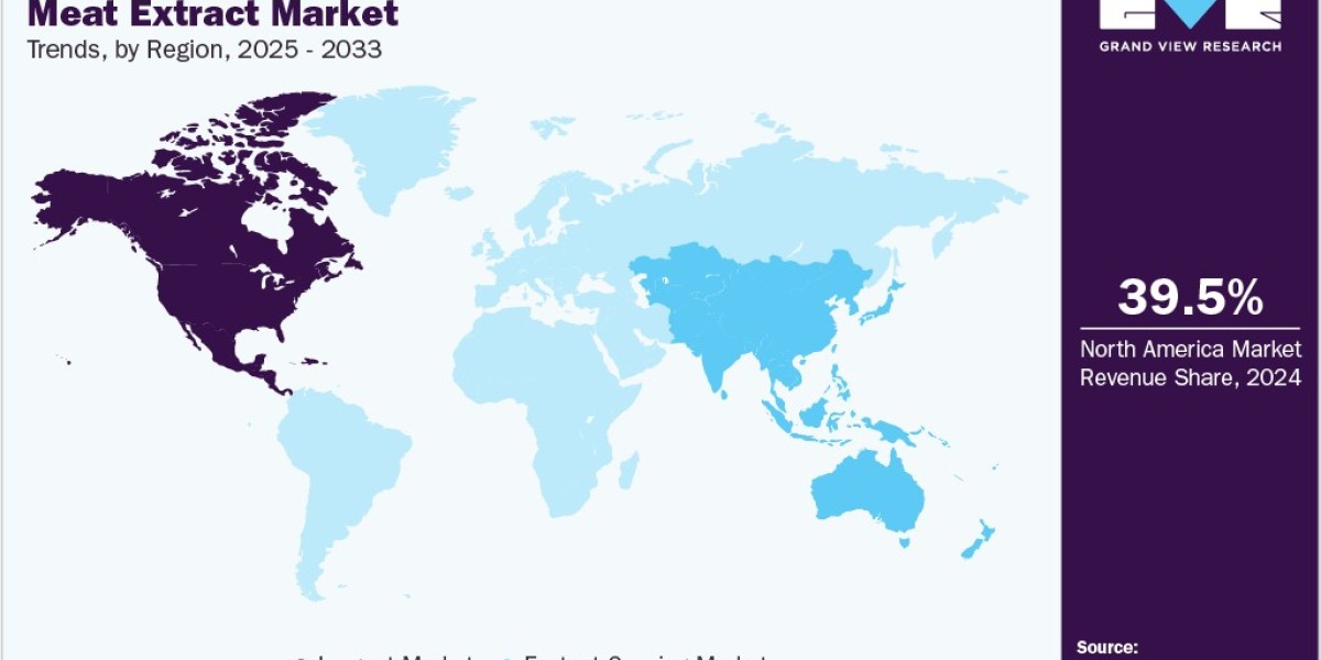 Meat Extract Market: Future Projections and Market Dynamics