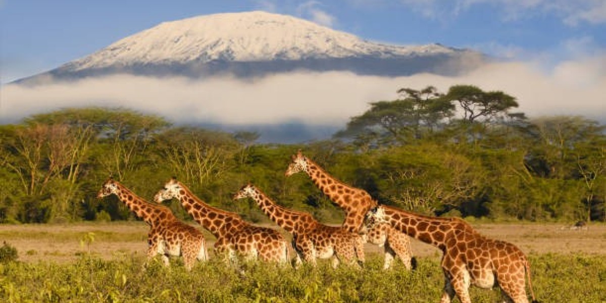 Unforgettable Adventure Experiences in Tanzania’s Wild Landscapes