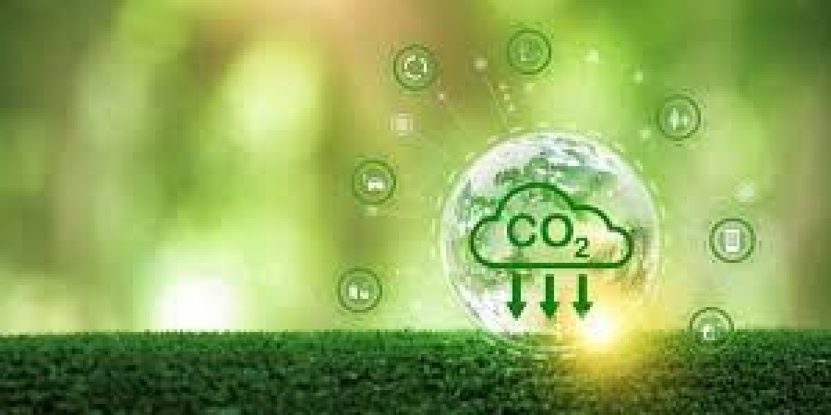 Créditos de Carbono: Solução para Empresas que Buscam Sustentabilidade