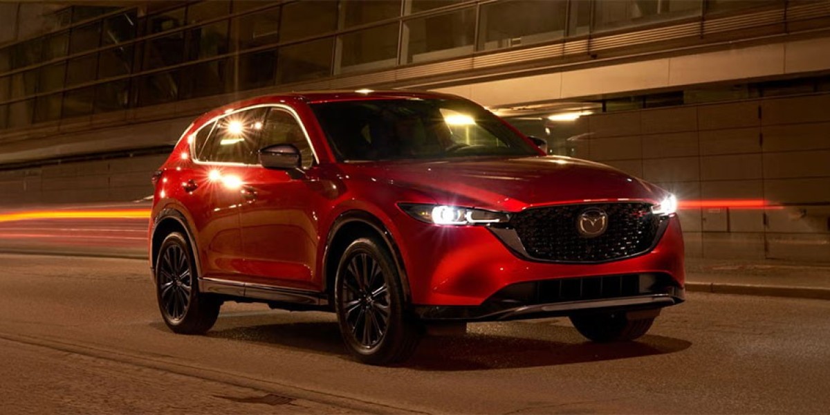 Botswana to Mozambique: Why Africans Trust Japanese Used Cars