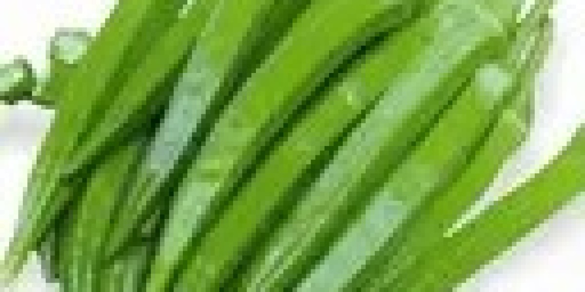 Garden Seed Market Revenue Analysis and Forecast Outlook 2034