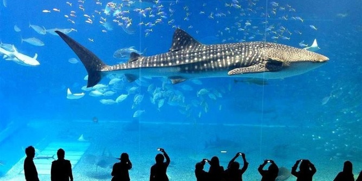 Explore the Magic of the Deep at SEA LIFE Ocean World