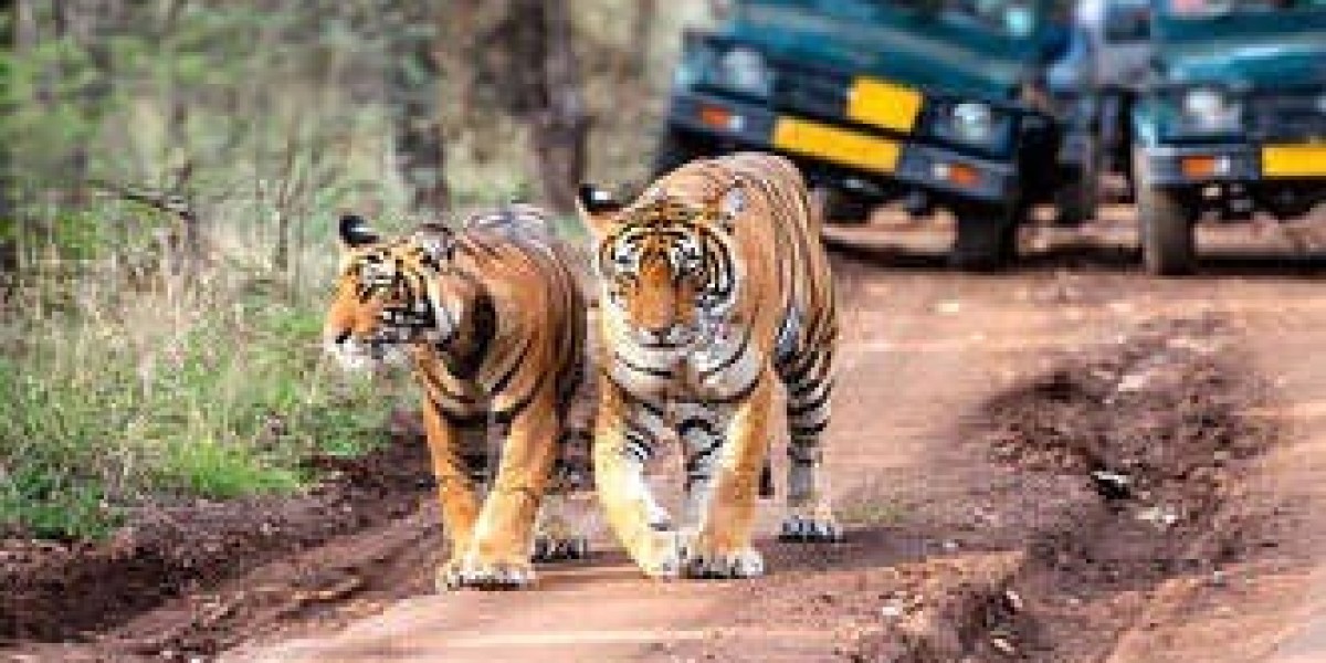 Ranthambore Weekend Package – Reserve Your Spot for an Unforgettable Jungle Escape