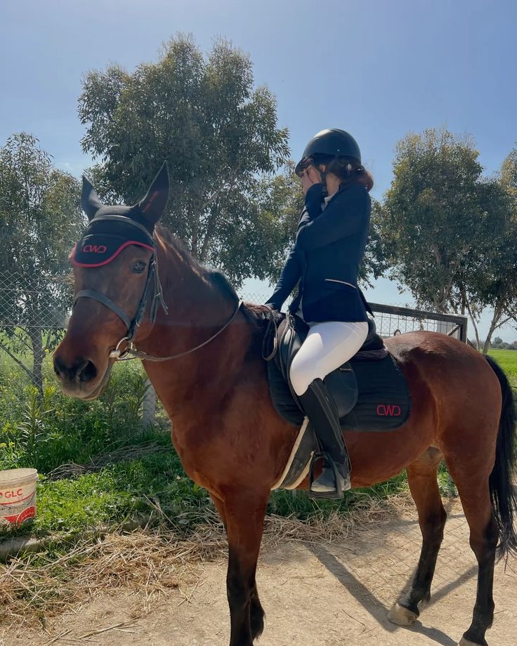 horse saddles