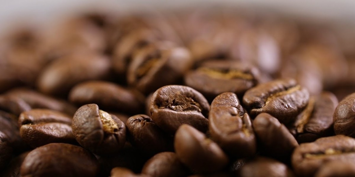 Top 20 Companies in Single Origin Coffee Market 2025: Preparing for the Unpredictable Future